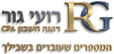 רועי גור, רואה חשבון CPA – המספרים שעובדים בשבילך